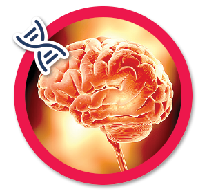 Bônus Potência Cerebral